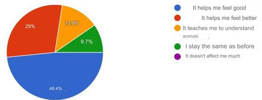Figure 8: Graph depicting the feelings of owners after having a time of play with their cats. The most common answer was that they have a good time (helps them to feel good) in 48% of the cases. It is noticeable how the answer “it does not affect me much” was not selected in any case, pointing out the games with cats and interaction with their behavior or thinking do not leave anyone indifferent.