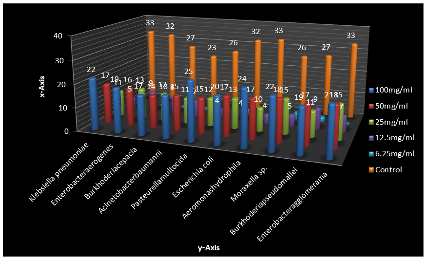 Figure 2: Zones of inhibition (mm) of Absolute Ethanol Seed Extract of Adenanthera pavonina at 100mg/ml, 50mg/ml, 25mg/ ml, 12.5mg/ml, 6.25mg/ml concentration against test isolates and Amoxicillin as Control.