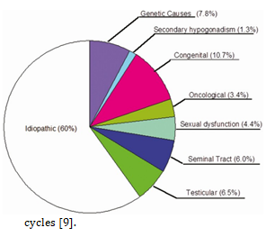 Figure 2: Causes of male infertility.