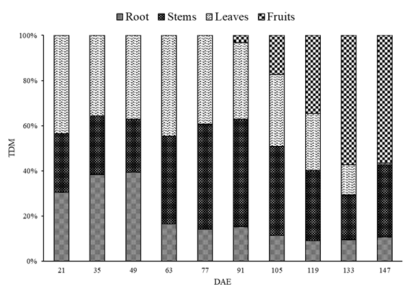 Figure 4: Allocation of assimilates to the broad bean cultivated throughout the winter-spring in Florianópolis-SC, Brazil, at 21, 35, 49, 63, 77, 91, 105, 119, 133, and 147 days after emergence (DAE). Values next to the bars represent the dry mass in g for the parts of the plant for each collection date.