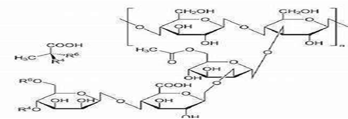Figure 3: Chemical Structure of Gaur Gum.