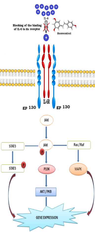Figure 1: After the end of the processing of the protein molecule, it was saved in *pdbqt format using AutoDock software.