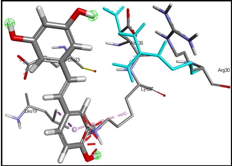 Figure 6: The binding mode and chemical interactions of the ligand (Resveratrol) attached to the amino acids of the IL-6 receptor.