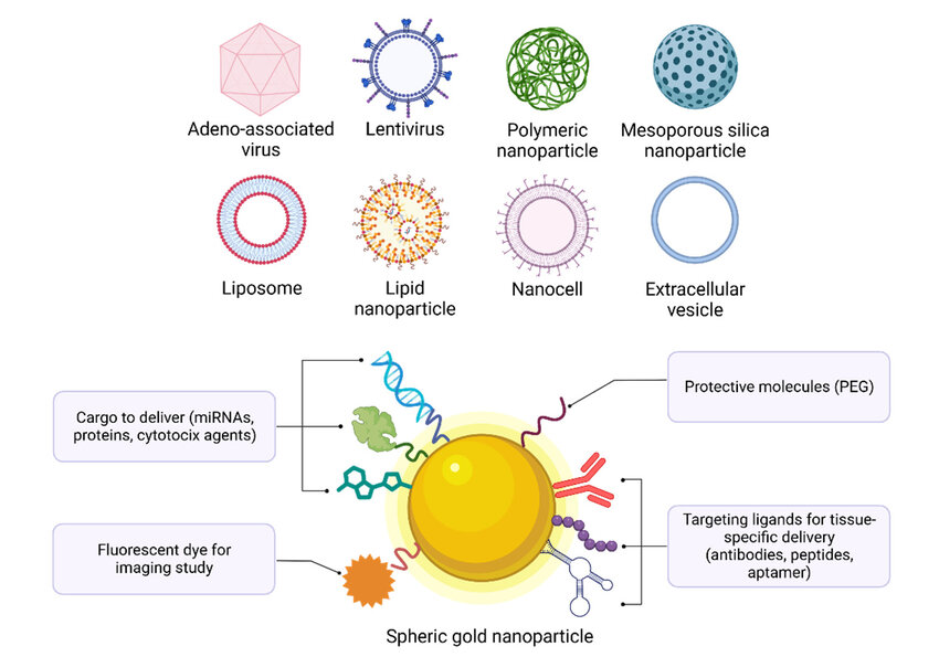 Figure 10: viral vectors.
