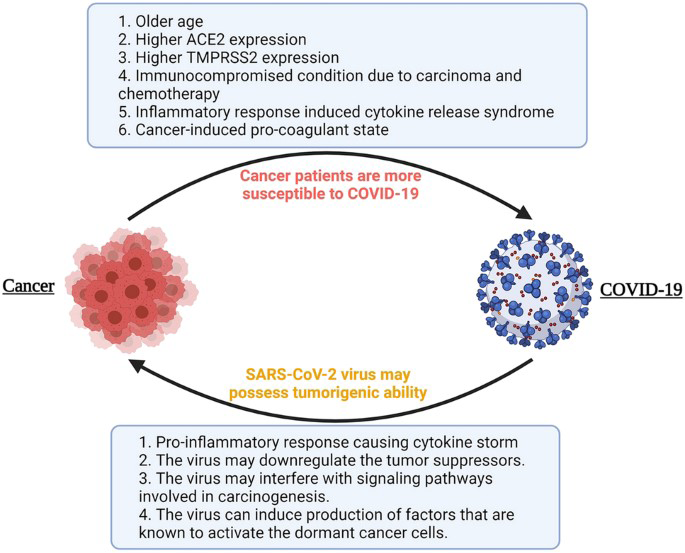 Figure 11: Cancer and COVID-19.