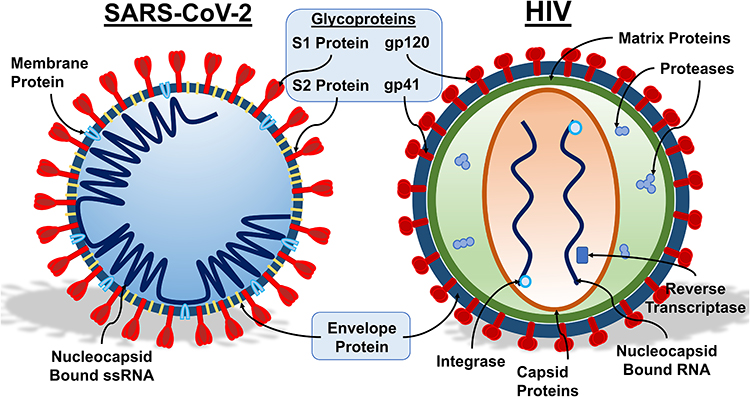 Figure 13: HIV with Covid-19.