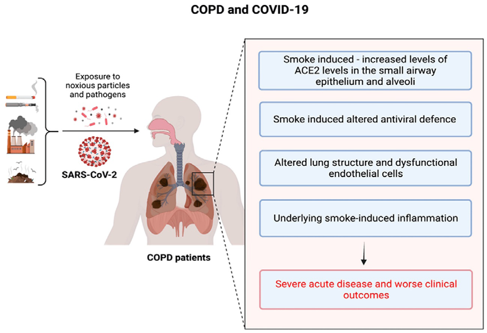 Figure 7: COPD and Covid-19_._