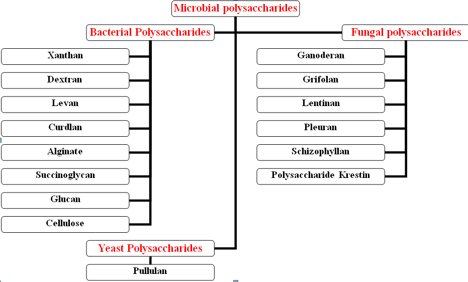Figure 1: Sources of Microbial Polysaccharides.