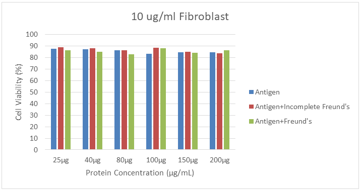 Figure 2: MTT analysis results to combinations of SLA and SLA with CFA and IFA in fibroblast cells.
