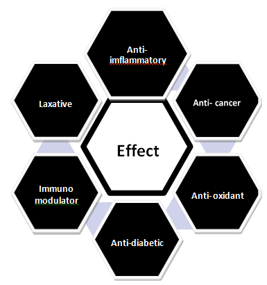 Figure 3: Pharmacological Effects of Tamarind.