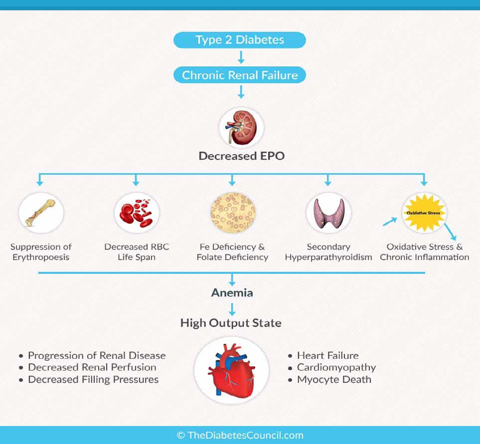 Figure 3: Diabetes related to the complications [8].