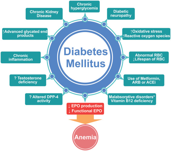 Figure 4: Factors related to cause Anaemia.