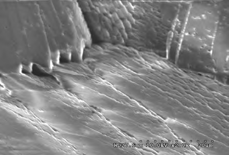 Figure 17: Fissures along posterior sacral foramina on a depression (civil case sample) at 10 kV 2.0kX magnification.