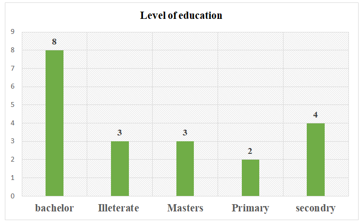 Figure 2: Participants Level of Education.