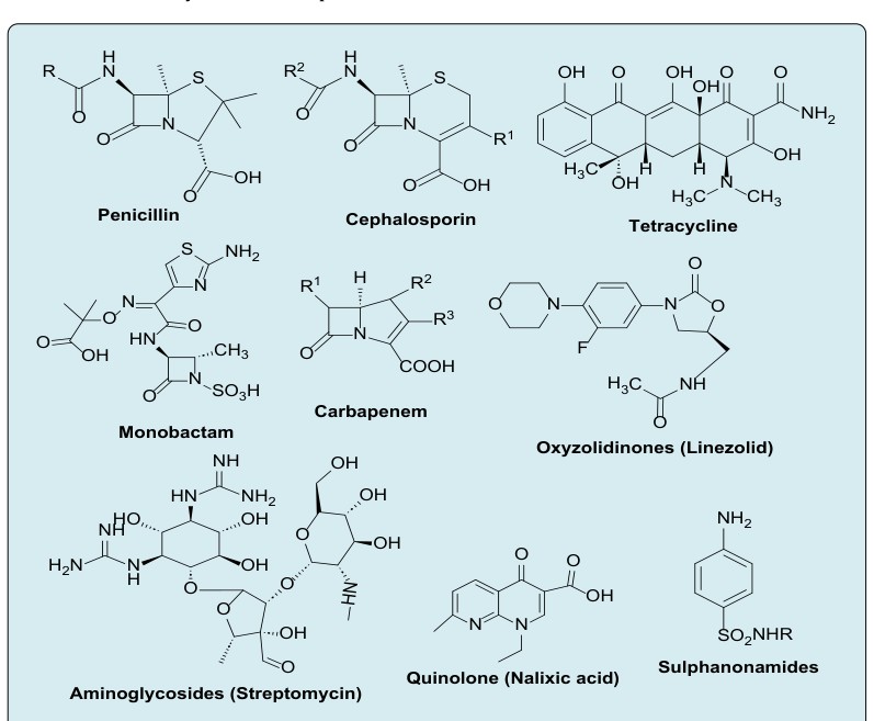 Figure 1: Chemical structure based major group of antibiotics.