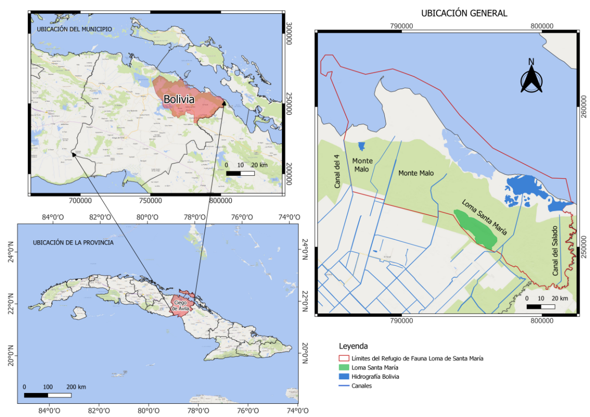 Figure 1: Geographical location of Monte Malo, as study area inside the Loma de Santa María Wildlife Refuge, Ciego de Ávila, Cuba.