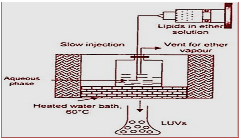 Figure 3: The process typically involves the following steps: • An aqueous solution of phospholipids and bile salts is prepared at a desired pH and temperature. • An organic solvent, such as ether, is then injected into the aqueous solution using a syringe or a similar device. • The mixture is then agitated, either by stirring or sonication, to form Bilosomes. The agitation causes the phospholipids and bile salts to self-assemble into Bilosomes.