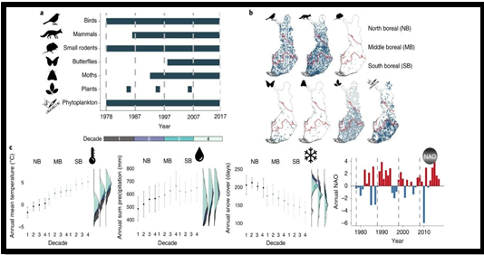 Figure 9: Spatial and temporal distribution of the species and climatic data analyzed. CC by Benjamin Weigel.