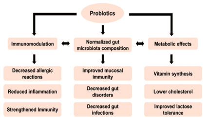 Figure 7: Advantages of Probiotics.