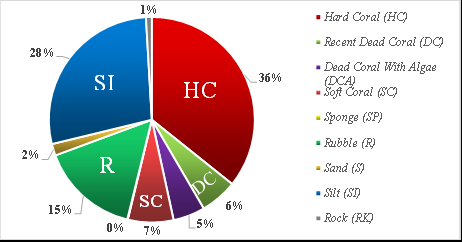 Figure 2: Percentage Coral Reef Cover Diagram at Station II.