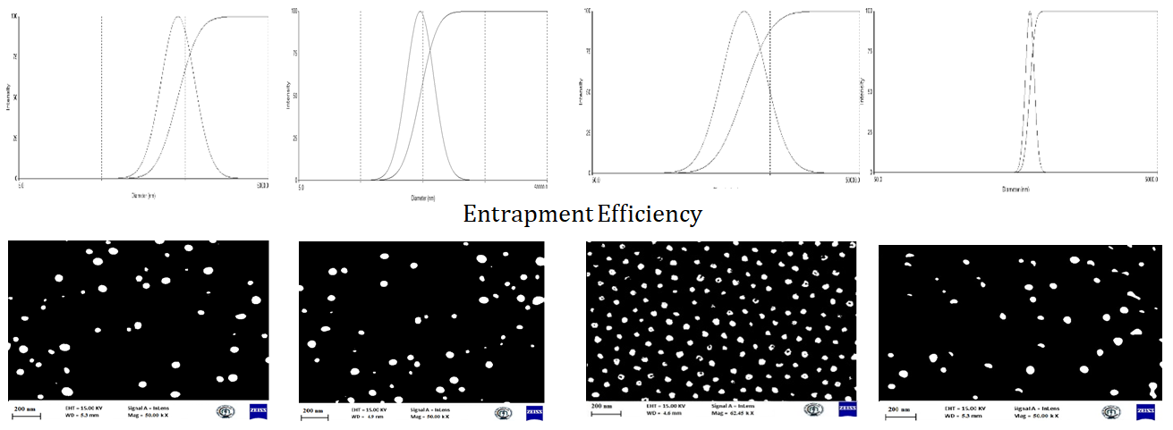 Figure 4: Entrapment Efficiency, Particle Count by SEM.