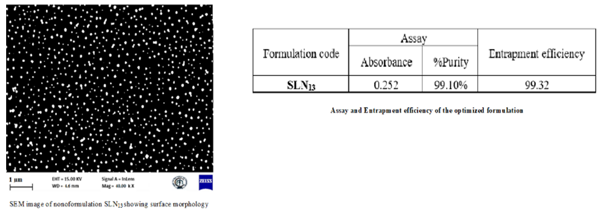 Figure 7: Shows Scanning Electron Microscopy Assay, Entrapment Efficiency.