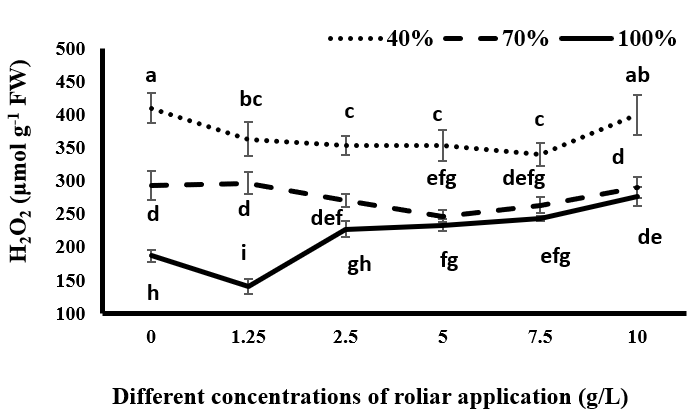 Figure 1: Comparison of mean amounts of H2O2 in black cumin under different levels of irrigation and different concentrations of spraying of tragacanth gum.