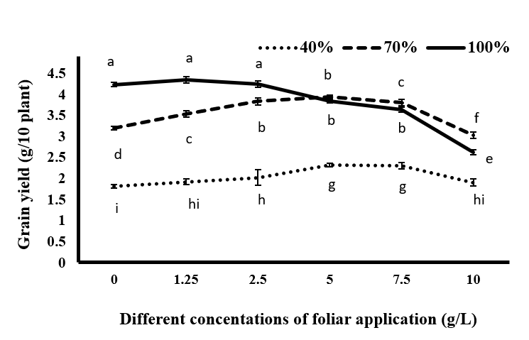 Figure 10: Comparison of mean the grain yield of black cumin under different levels of irrigation and different concentrations of spraying of tragacanth gum.