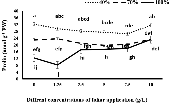 Figure 5: Comparison of mean amounts of soluble protein in black cumin under different levels of irrigation and different concentrations of spraying of tragacanth gum.