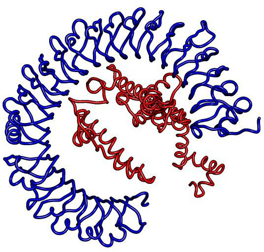 Figure 4: Molecular Dynamics & Expression Analysis.