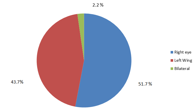Figure 5: Distribution of patients according to laterality (CHUZ-SL; 2023).