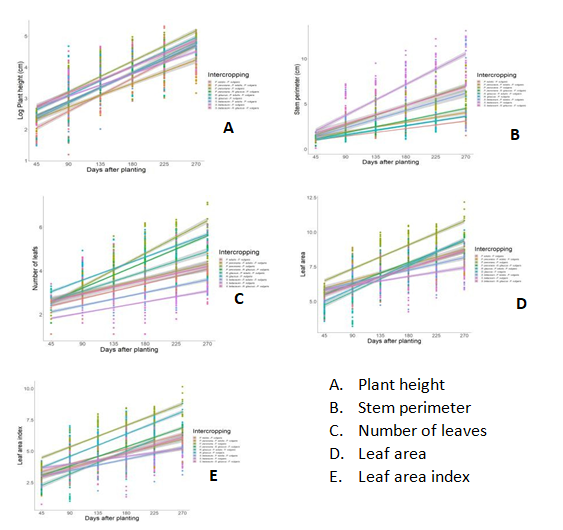 Figure 2: Integral analysis of growth variables with comparison of Regression Coefficients (β) under the Split Strip Design Model.