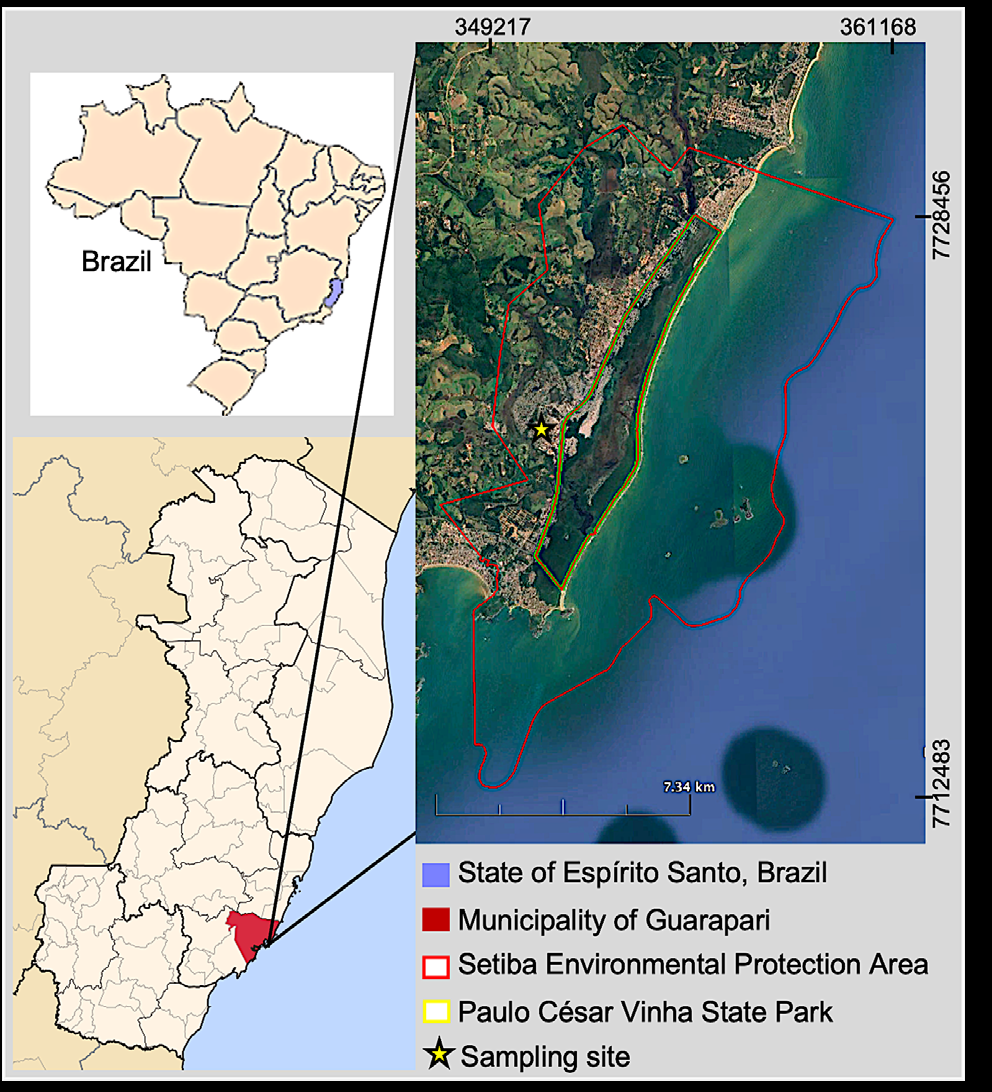 Figure 1: Location of sampling site in Setiba Environmental Protection Area, relative to municipality of Guarapari in state of Espírito Santo, southeastern Brazil. The APA-Setiba is located in the Atlantic Forest biome, specifically in the esting ecosystem (sand-coastal-plain). The APA-Setiba is crossed by the highway ES-060 (Rodovia do Sol) and is surrounded by residences, farms, and pastures. A large number of people access the area, contributing to its habitat degradation. In the past, sand extraction was one of the activities that most contributed to environmental degradation, resulting in fragments with landscape changes. The studied G. banksii population is located mostly in the degraded portions of the APA-Setiba at 3.3 m asl. The field sampling was done between December 2014 and August 2015, starting in the spring and finishing in the winter.