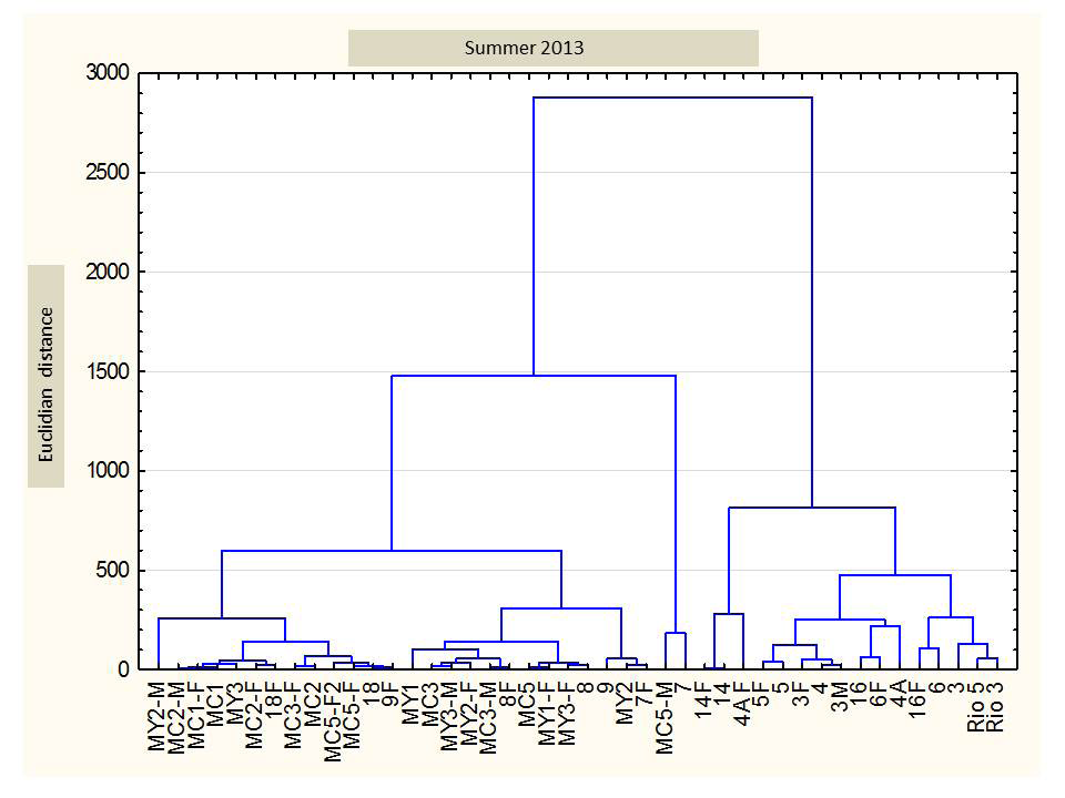 Figure 2: Dendrogram grouping the stations considering the similarities of the stations in winter sampling.