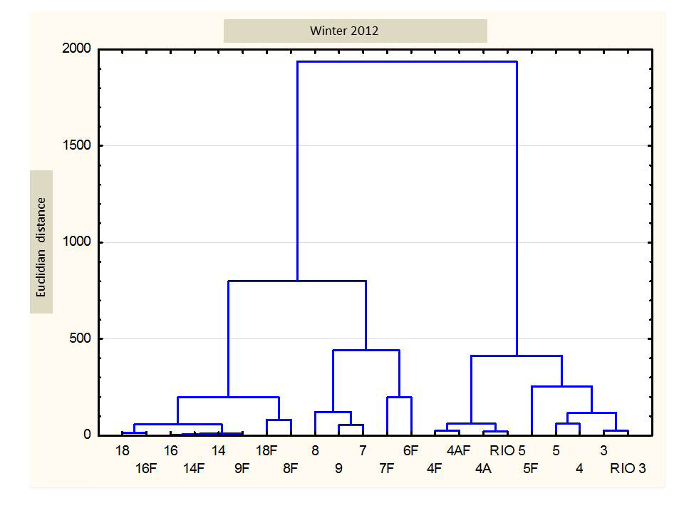 Figure 3: Dendrogram grouping the stations considering the similarities of the stations in summer sampling.