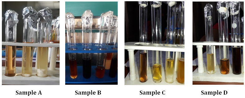 Figure 3: Growth at different Bile Concentration (A B,C and D).