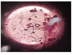 Figure 18: (A4).