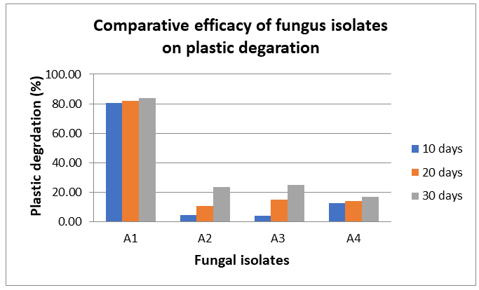 Figure 19: Comparative Efficacy of Fungus Isolates on Plastic Degradation.