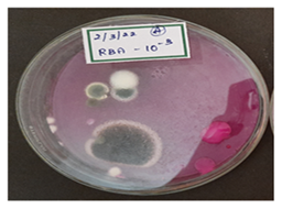 Figure 2: (10-2).