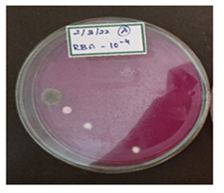 Figure 4: (10-5).