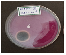 Figure 5: (10-6).