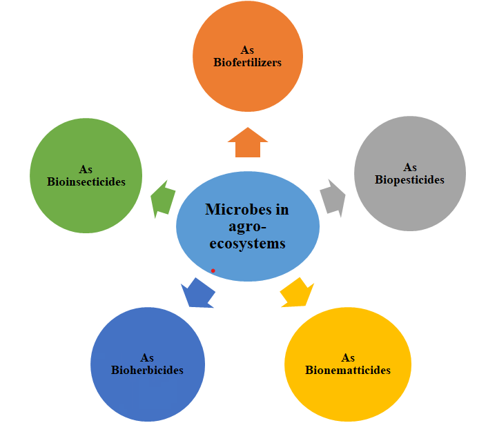 Figure 1: Systematic sketch for application of microbes for sustainable agriculture.