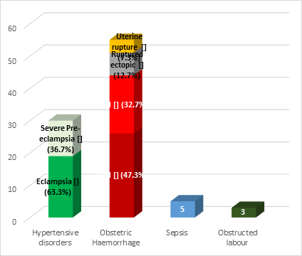 Figure 3: Representation of causes of near-miss during the Period of Study.