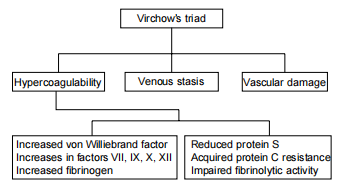 Figure 1: The pathogenesis of pregnancy-associated VTE.