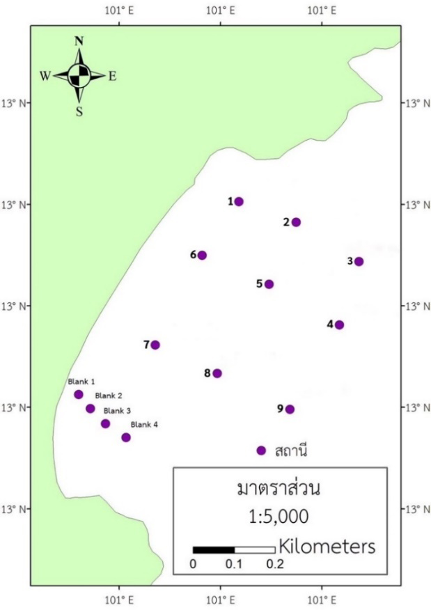 Figure 1: Sampling stations in the Ao Pae area, Rayong Province.