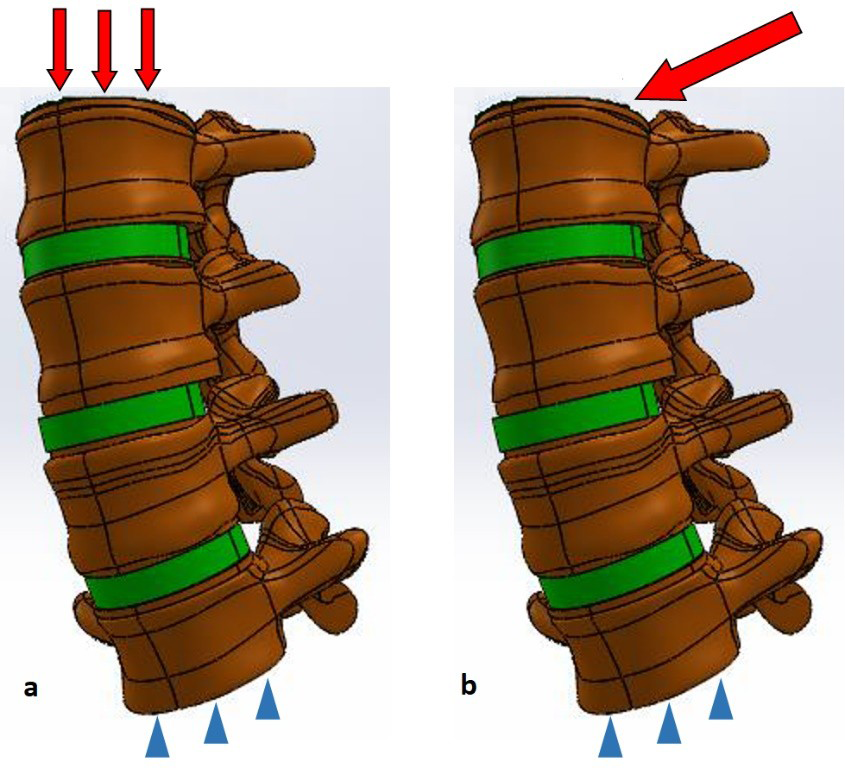 Figure 3: Loading in axial compression (a) and bending (b).