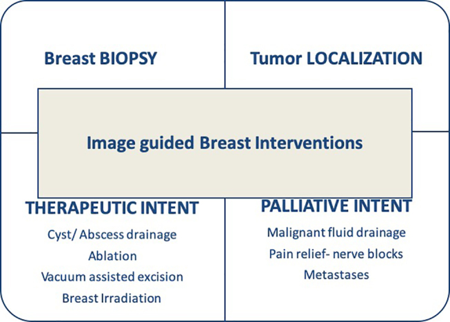 Figure 12: Flow diagram illustrating the expanding scope of image-guided breast interventions.