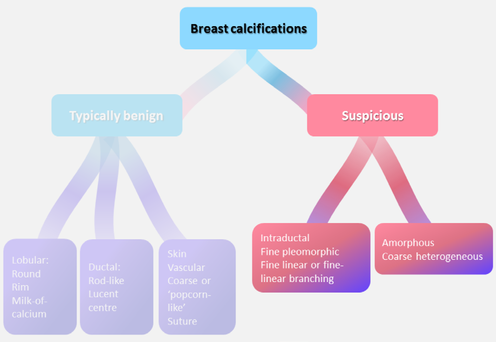 Figure 5: Types of calcification on mammography.