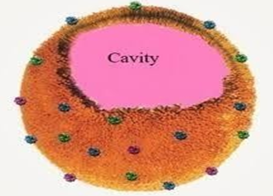Figure 2: Structure of Nano sponges.