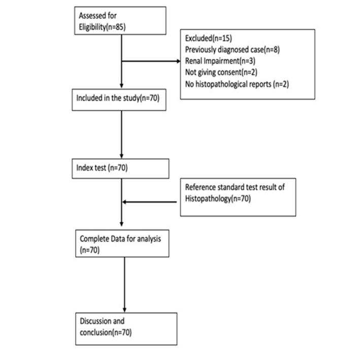 Figure 1: STARD flow diagram of the participants.
